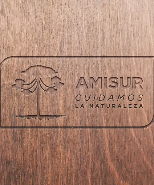 Logo Mockup Amisur